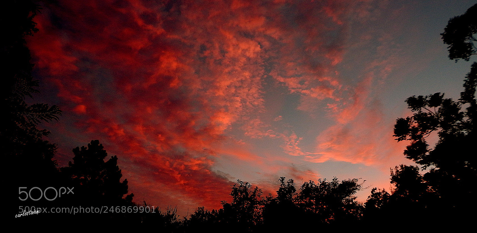 Fujifilm FinePix SL1000 sample photo. Colors in the morning .. photography