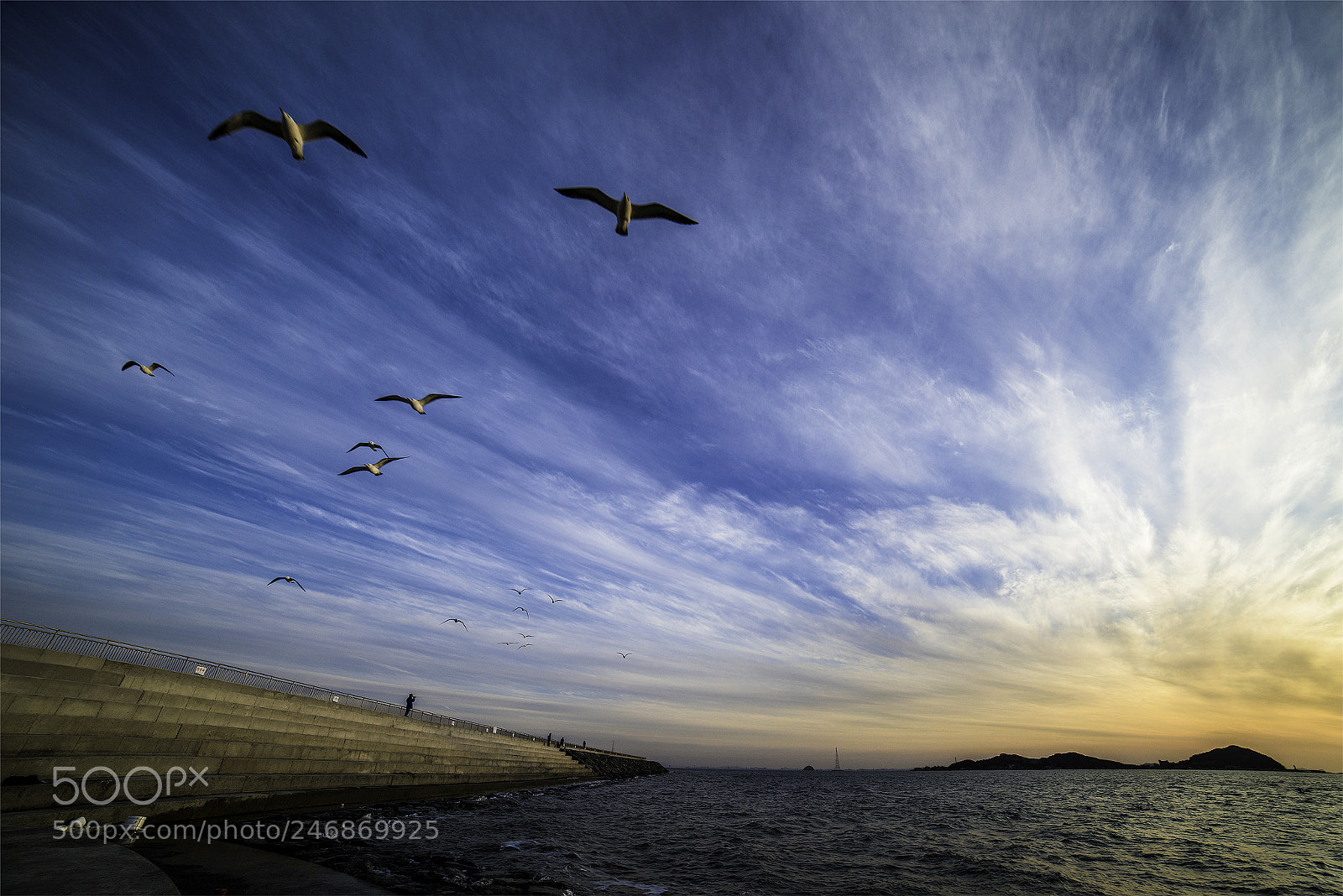 Nikon D810 sample photo. 탄도항 photography