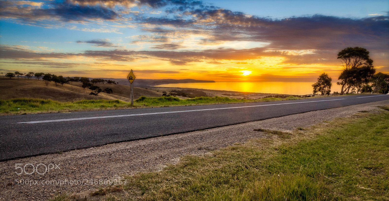Canon EOS 60D sample photo. Eyes on the road photography