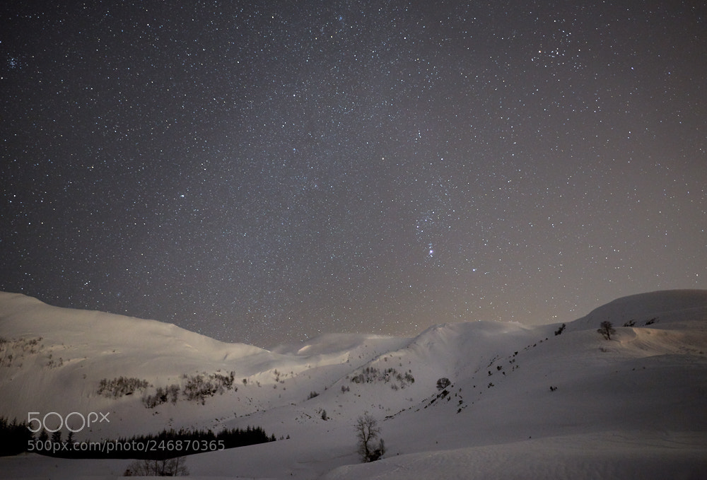 Nikon D800 sample photo. Crisp night sky above photography