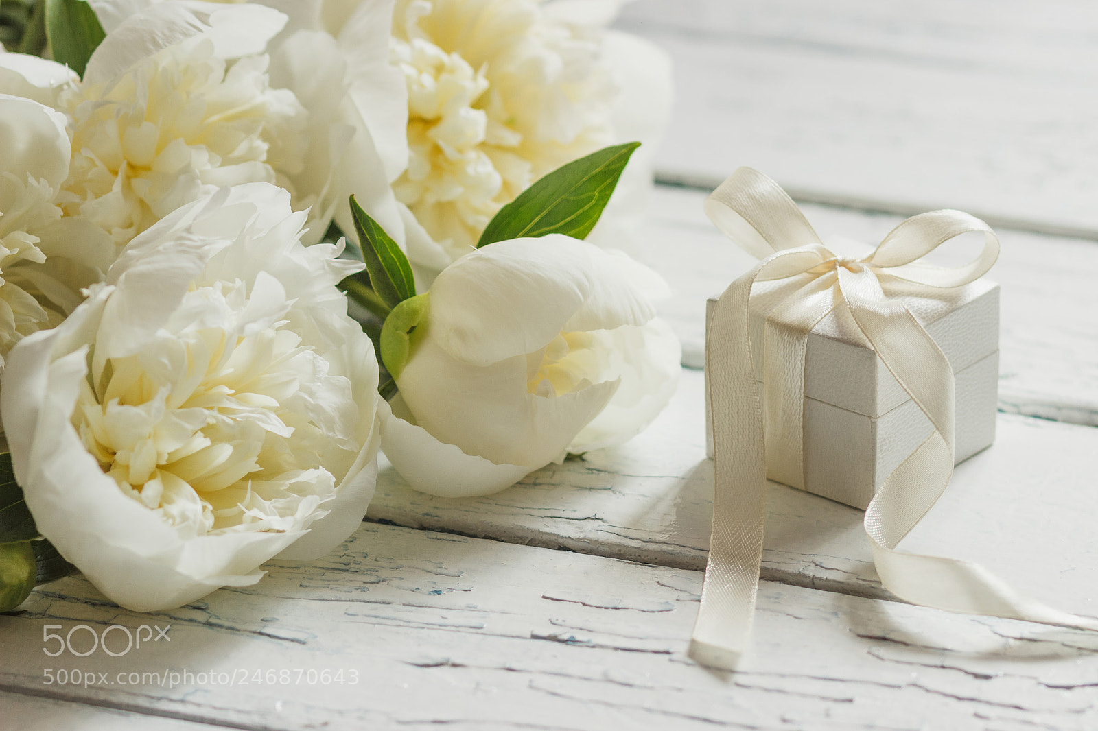 Canon EOS 600D (Rebel EOS T3i / EOS Kiss X5) sample photo. Bouquet of white peonies photography