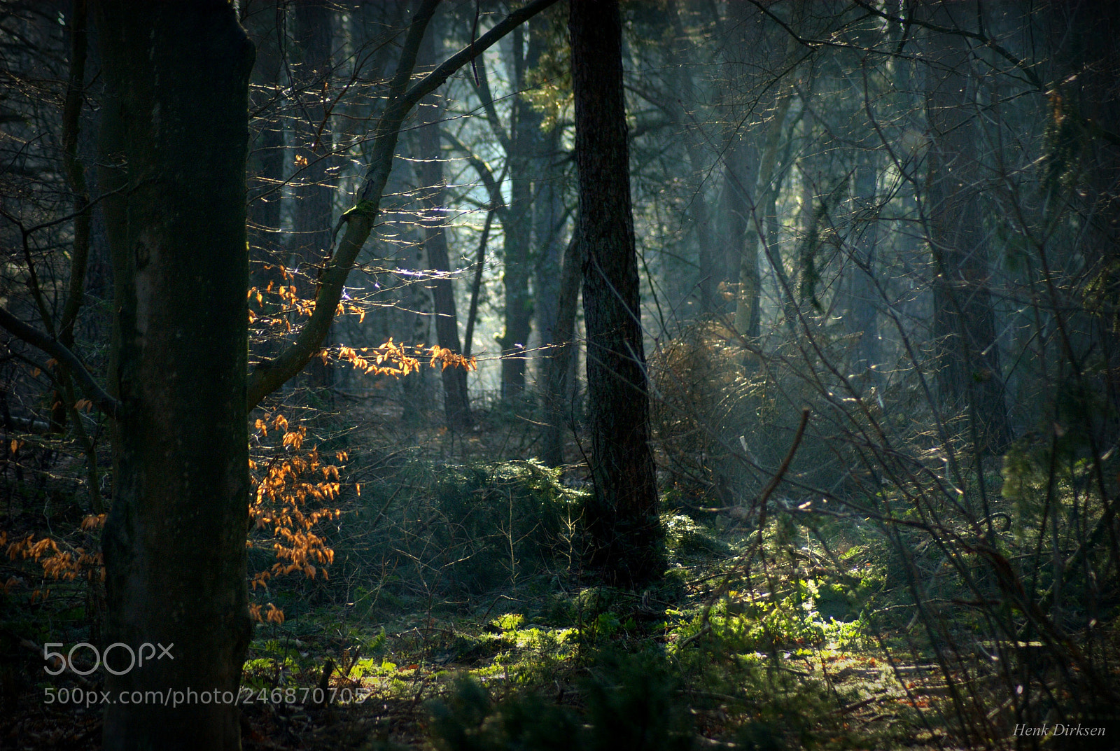 Nikon D200 sample photo. Verborgen photography