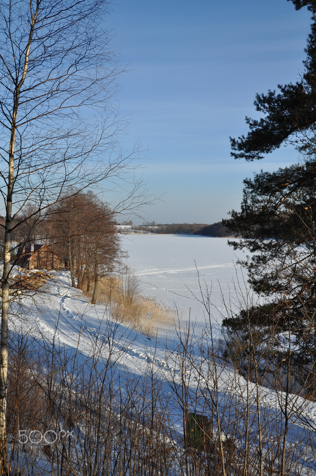Nikon D5000 sample photo. Beautiful winter photography