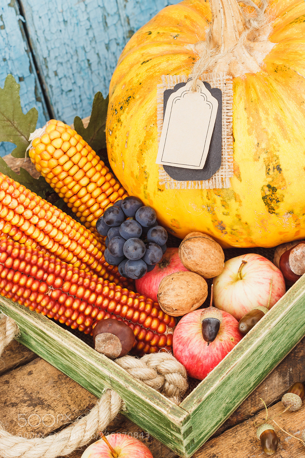 Canon EOS 600D (Rebel EOS T3i / EOS Kiss X5) sample photo. Tray with pumpkin and photography