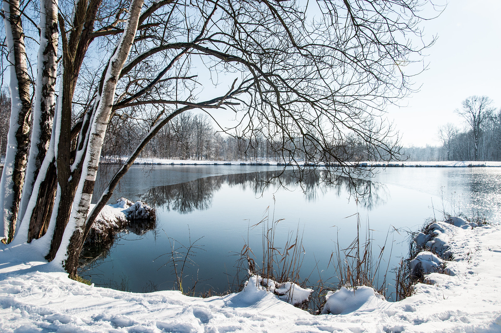 Nikon D5000 sample photo. Frozen landscape photography