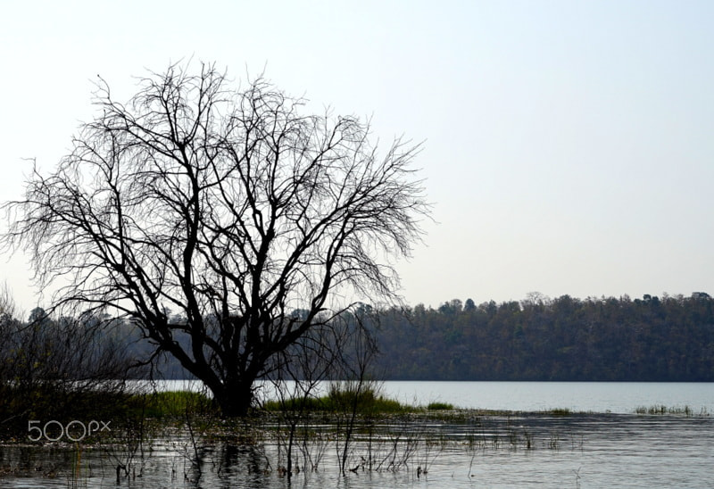 Tamron 18-200mm F3.5-6.3 Di III VC sample photo. River narmada ji photography