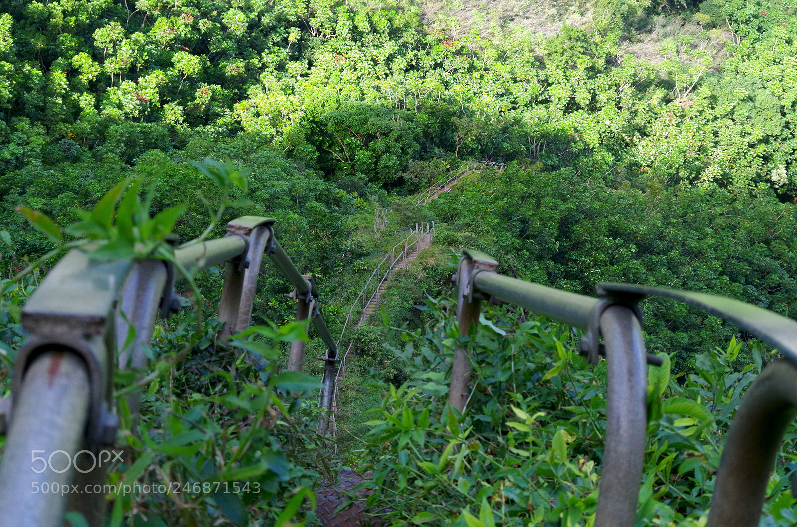 Pentax K-500 sample photo. Haiku stairs in hawaii photography