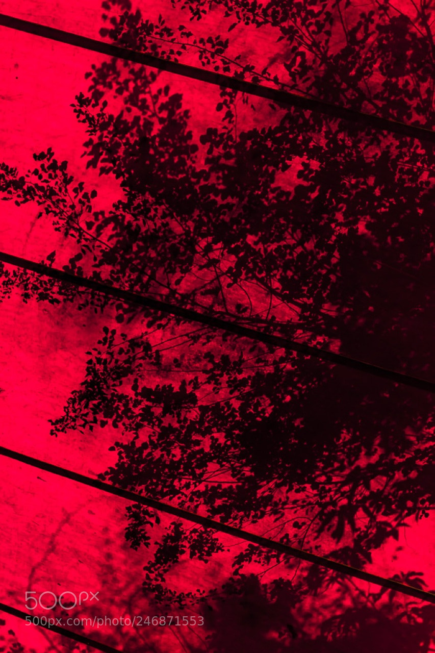 Nikon D7200 sample photo. Shadow art by god photography