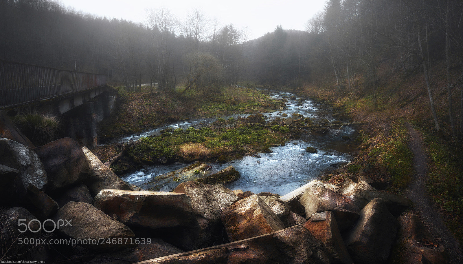 Nikon D610 sample photo. Misty place photography