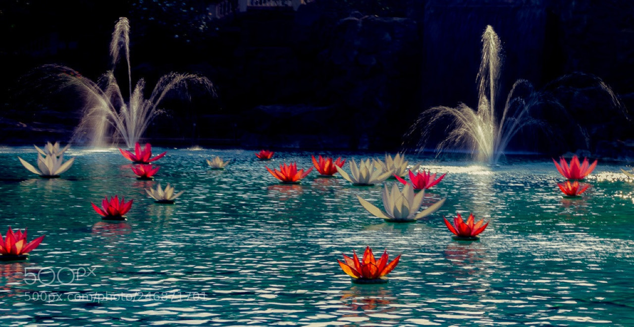 Nikon D7200 sample photo. Lotus...art! photography