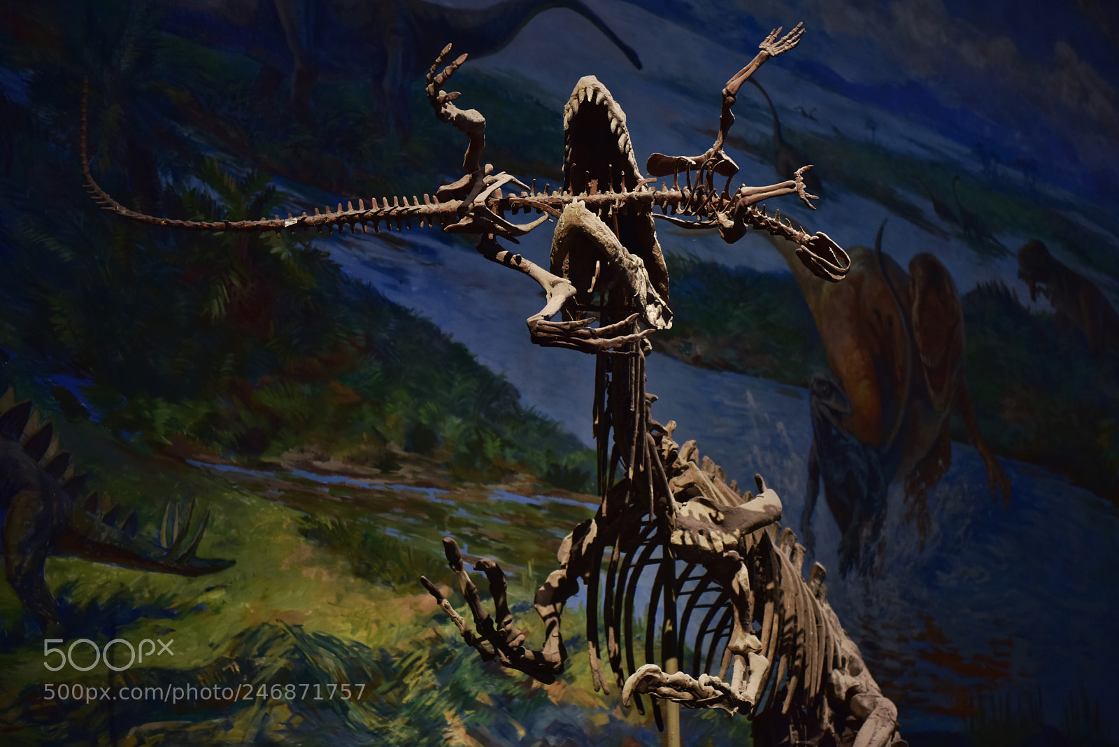 Nikon D810 sample photo. Untitled photography