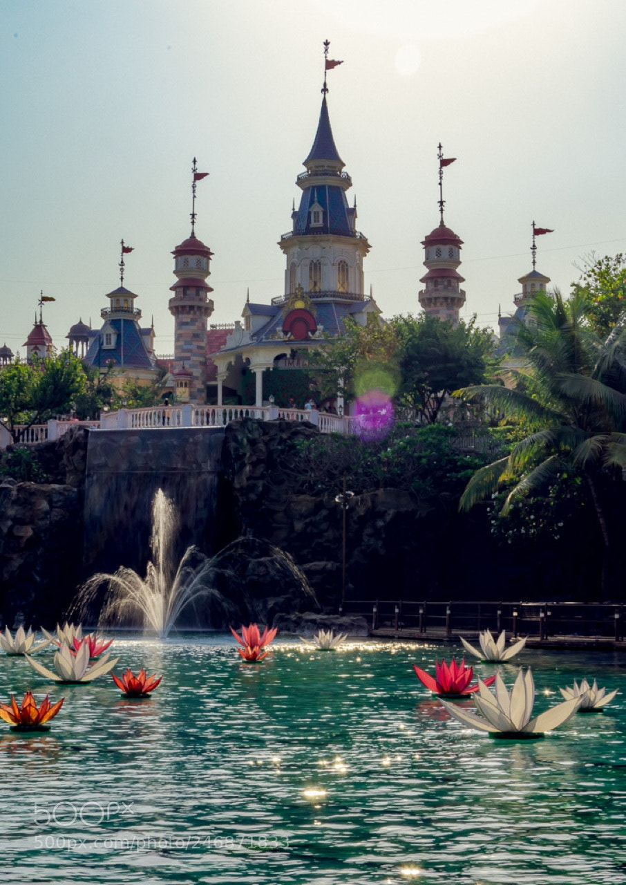 Nikon D7200 sample photo. Castle feel photography