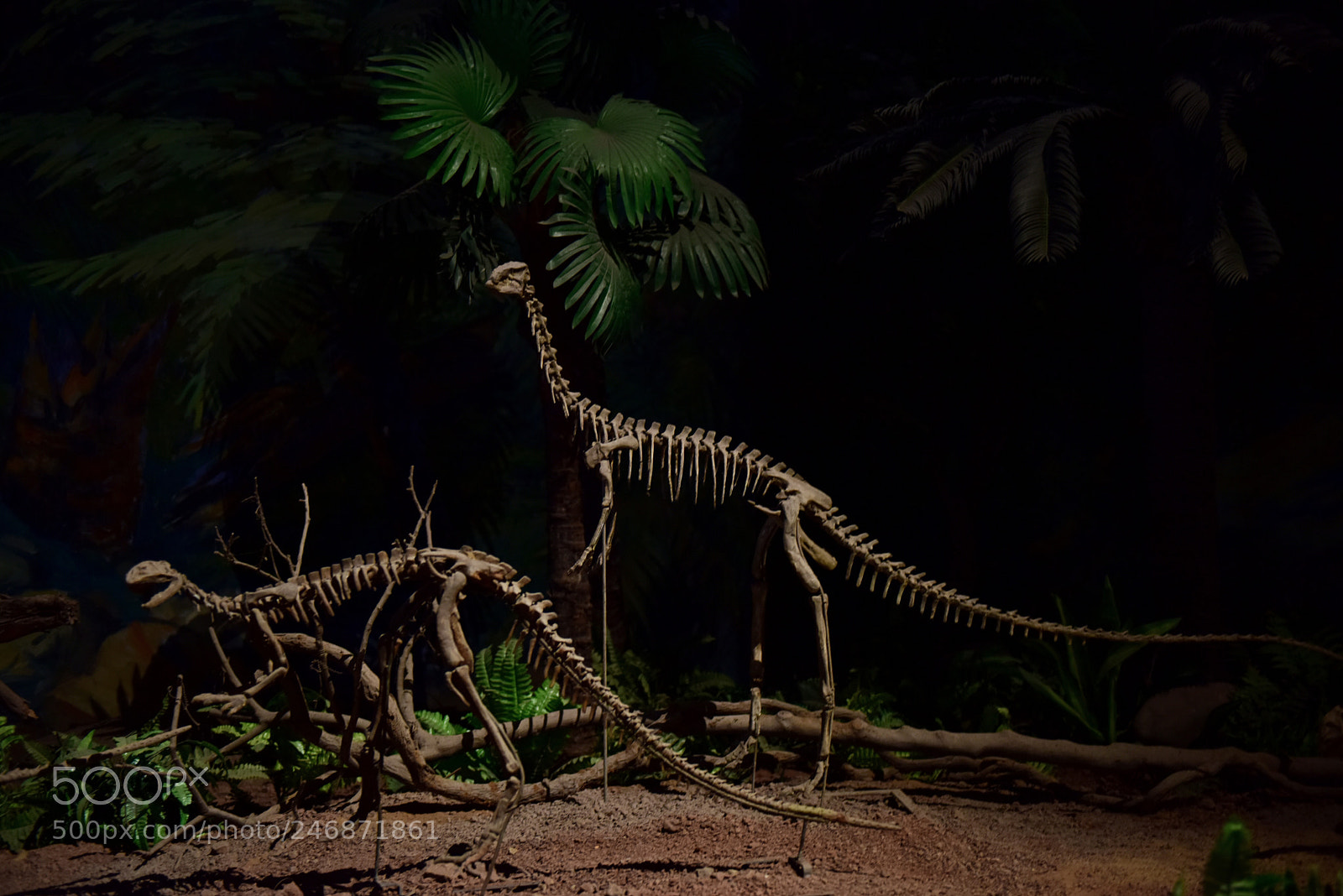 Nikon D810 sample photo. Untitled photography