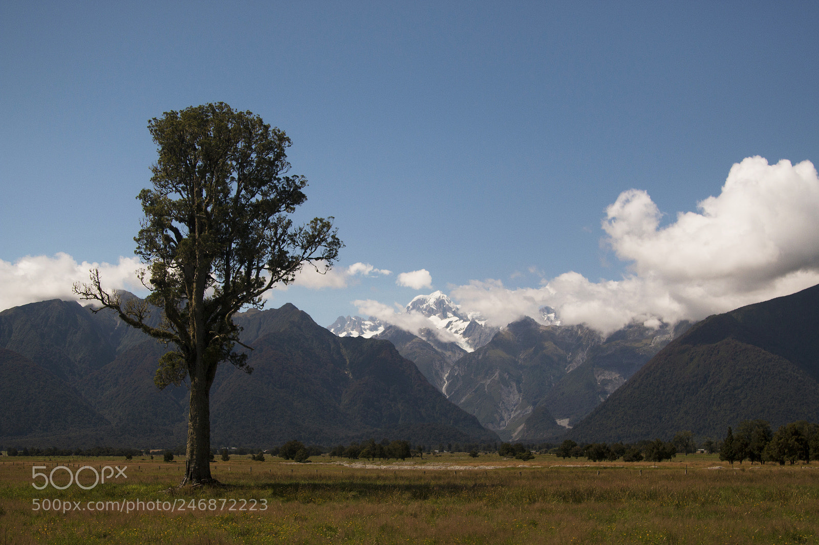 Canon EOS 70D sample photo. Mt cook photography