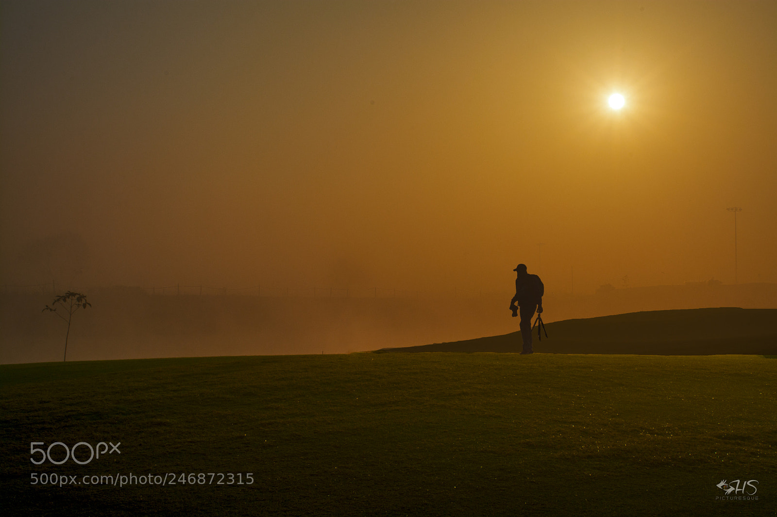 Nikon D5200 sample photo. Misty morning photography