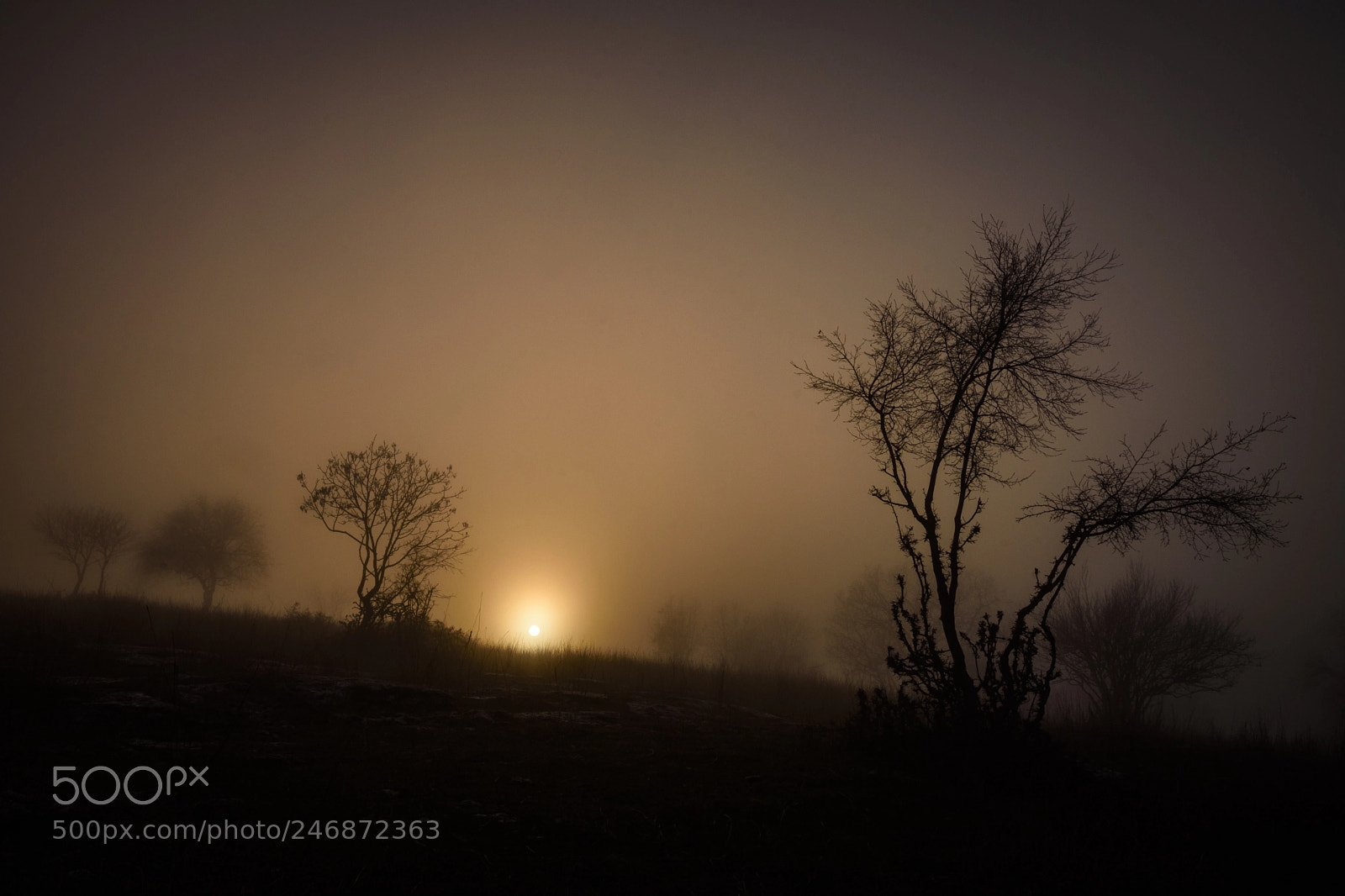 Nikon D7200 sample photo. Foggy sunset photography