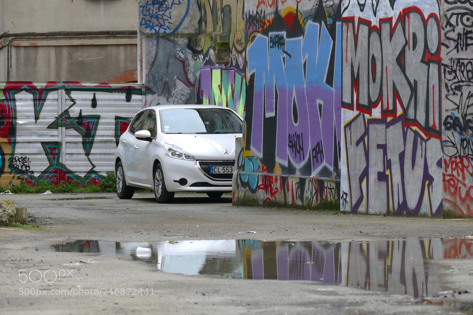 Leica V-Lux (Typ 114) sample photo. After the rain photography