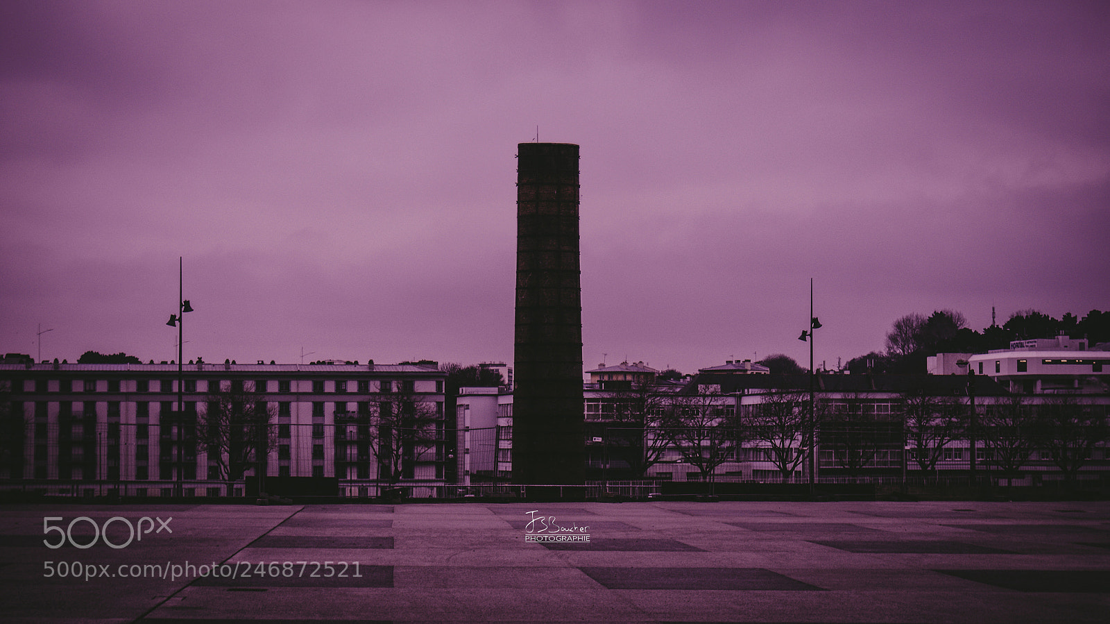 Sony Alpha DSLR-A200 sample photo. Purple brest photography
