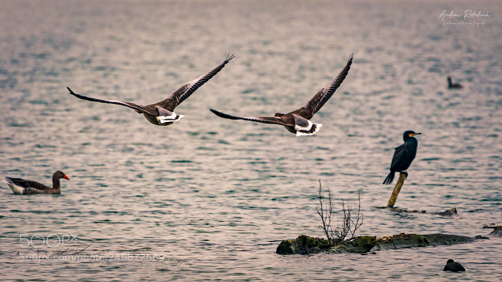Canon EOS 7D Mark II sample photo. On my way photography