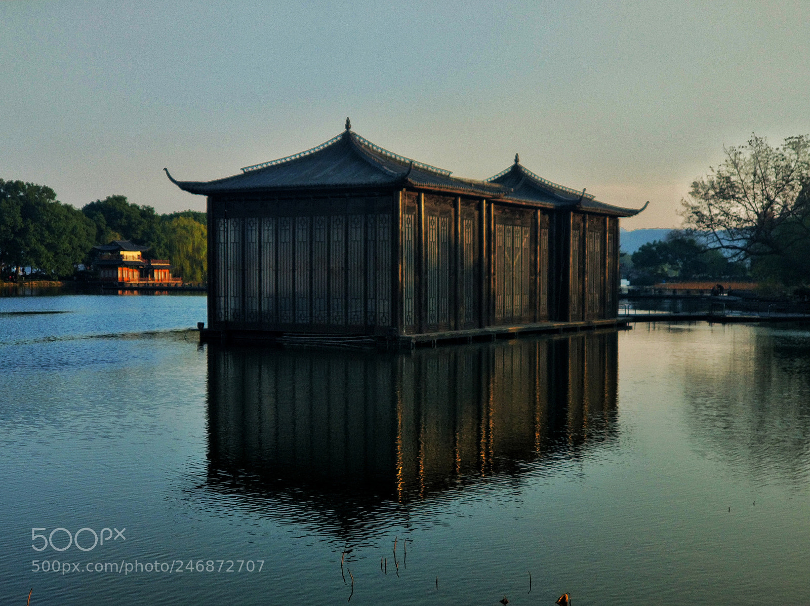 Xiaomi MI6 sample photo. Untitled photography