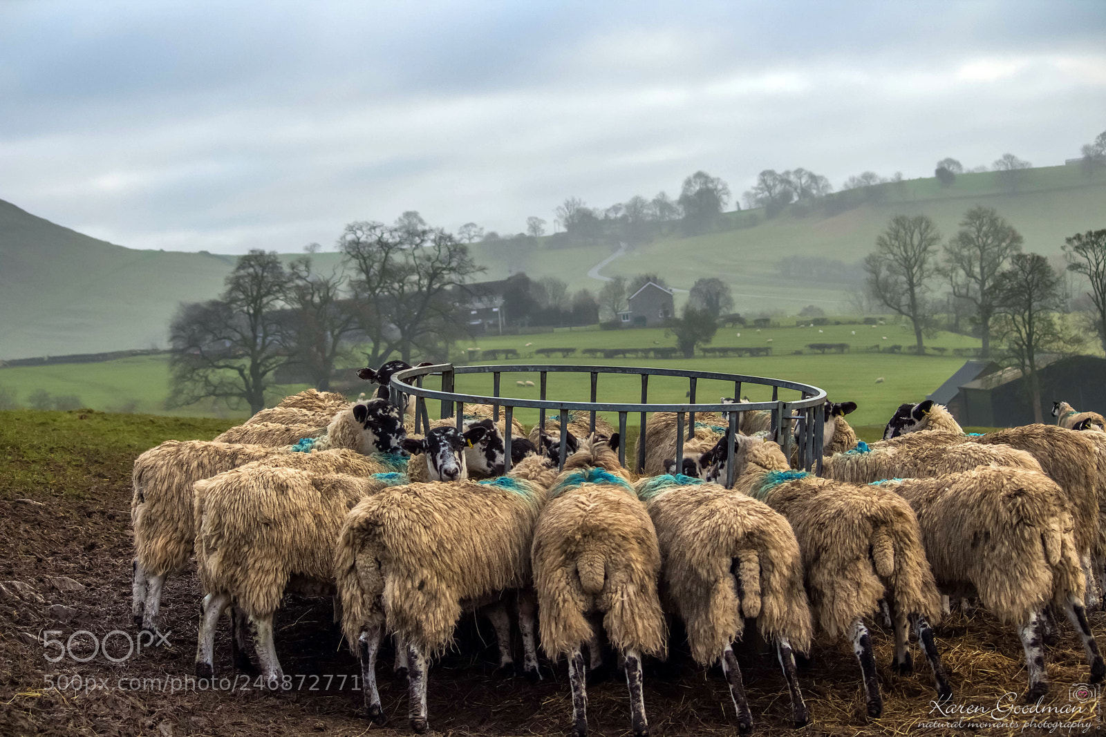 Canon EOS 1300D (EOS Rebel T6 / EOS Kiss X80) sample photo. Peak district photography