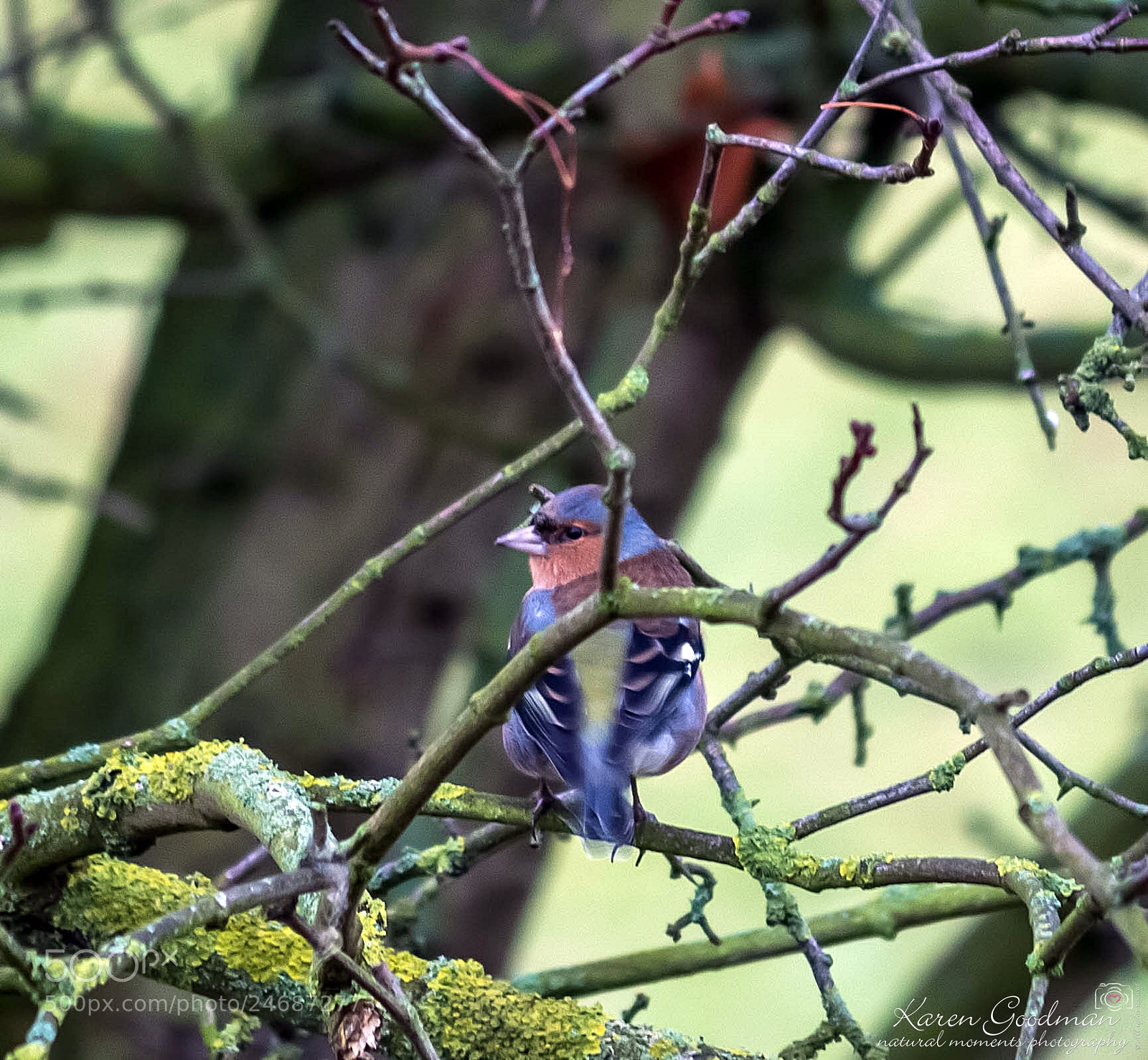 Canon EOS 1300D (EOS Rebel T6 / EOS Kiss X80) sample photo. Peak district photography