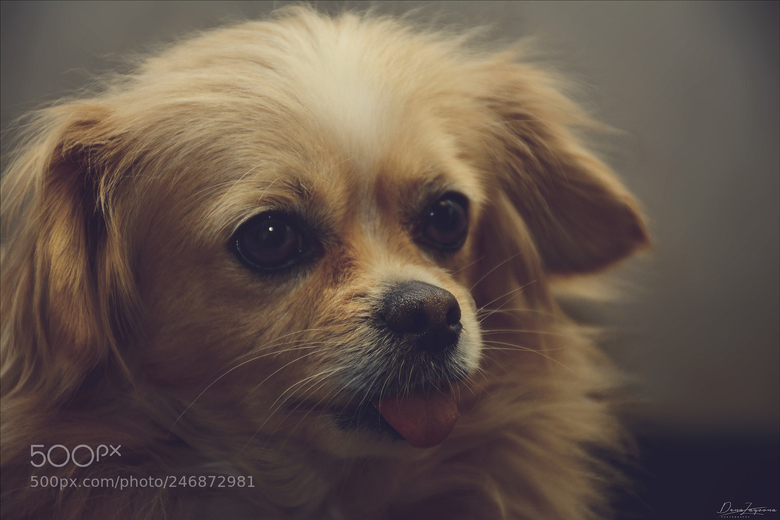 Nikon D7100 sample photo. Lucy photography