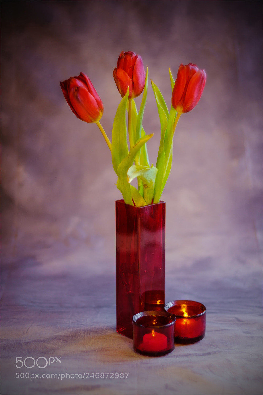 Fujifilm X-T2 sample photo. Red in red photography