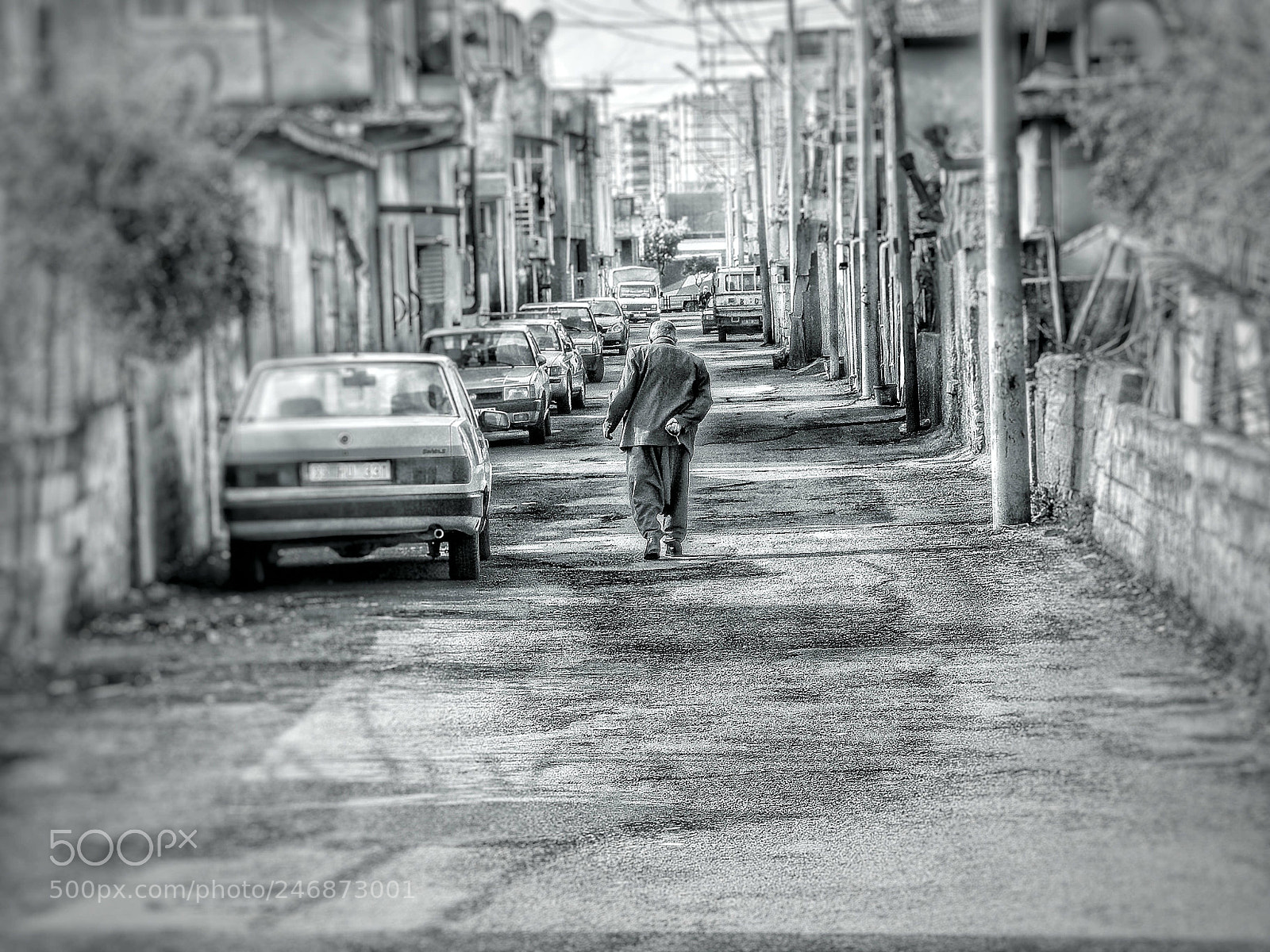 Nikon Coolpix P80 sample photo. Untitled photography
