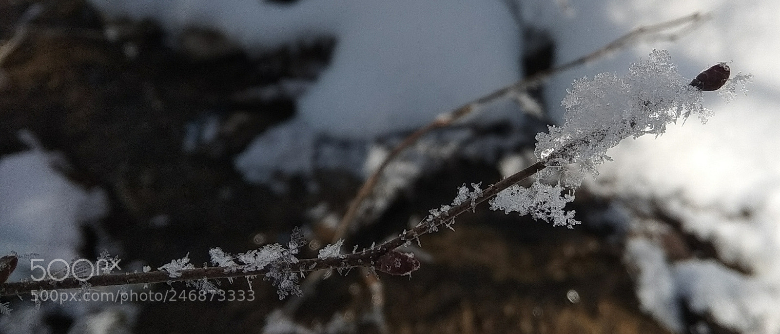 Xiaomi Redmi Note 5A sample photo. Untitled photography