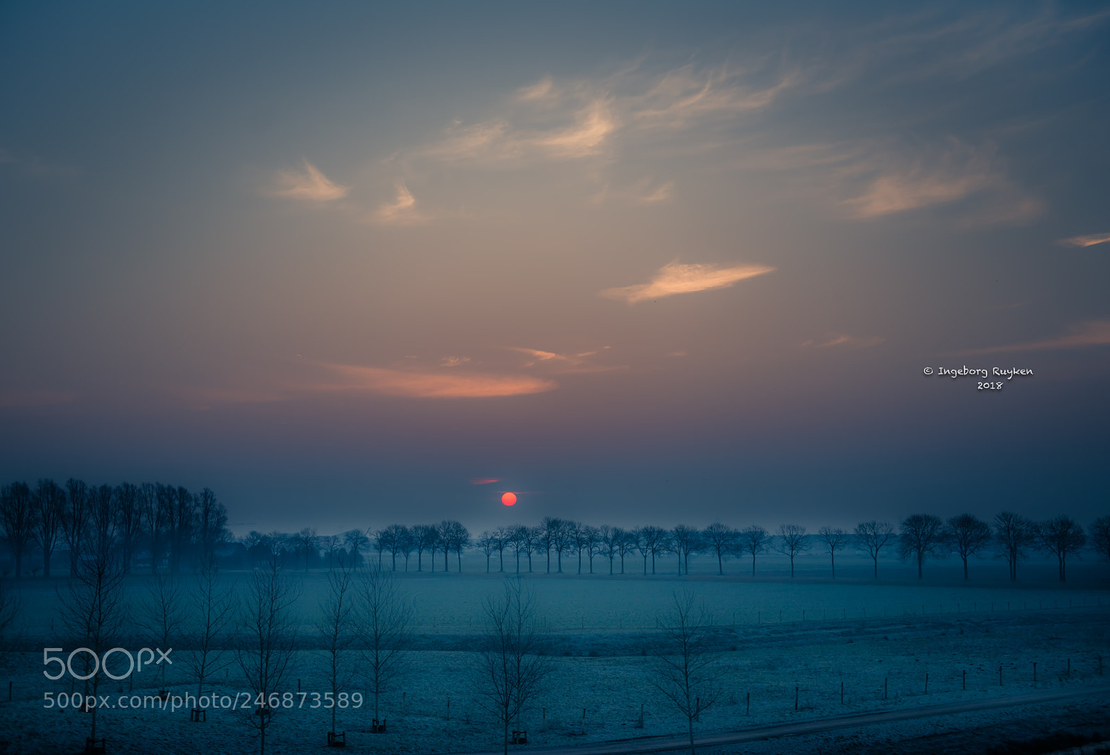 Nikon D800 sample photo. Kanaalpark 3323 photography