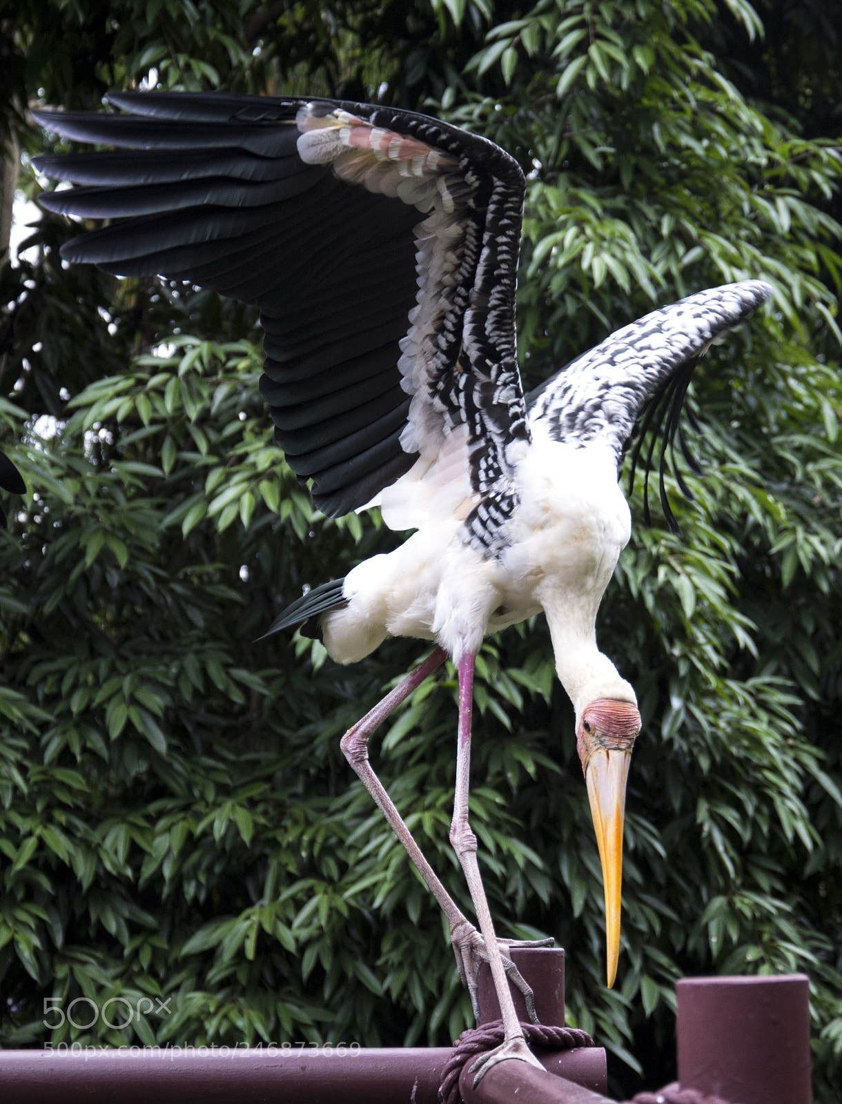 Nikon D7200 sample photo. Take off.. photography