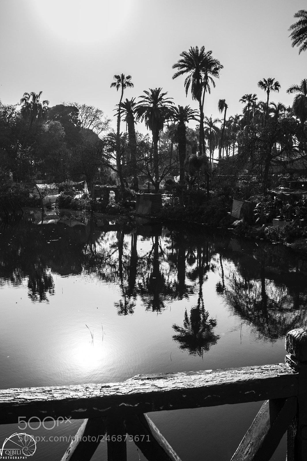 Canon EOS 600D (Rebel EOS T3i / EOS Kiss X5) sample photo. Reflections photography