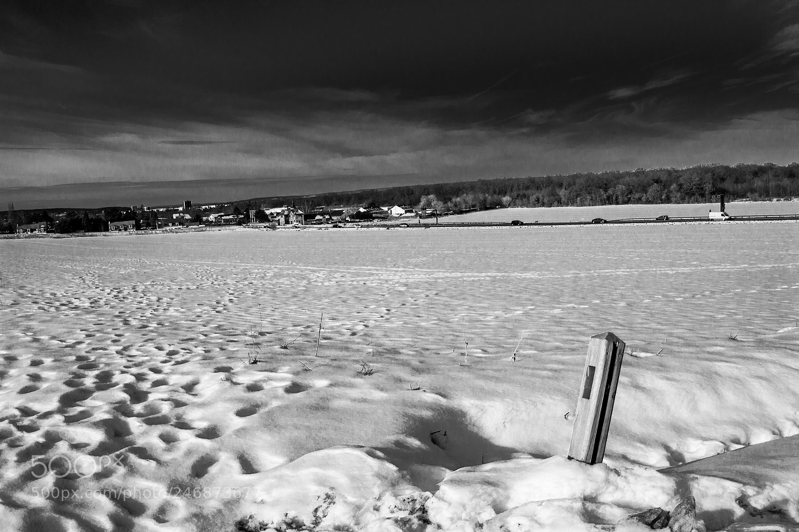 Nikon D3100 sample photo. Winter post photography