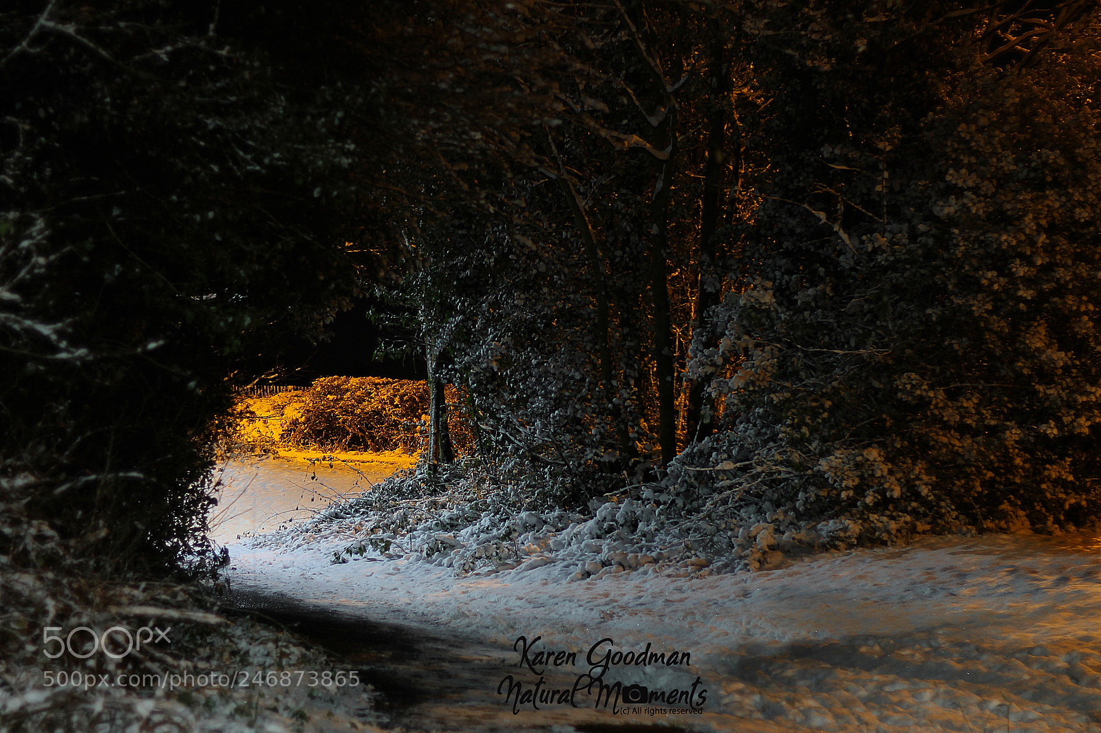 Canon EOS 1300D (EOS Rebel T6 / EOS Kiss X80) sample photo. Snow time! photography