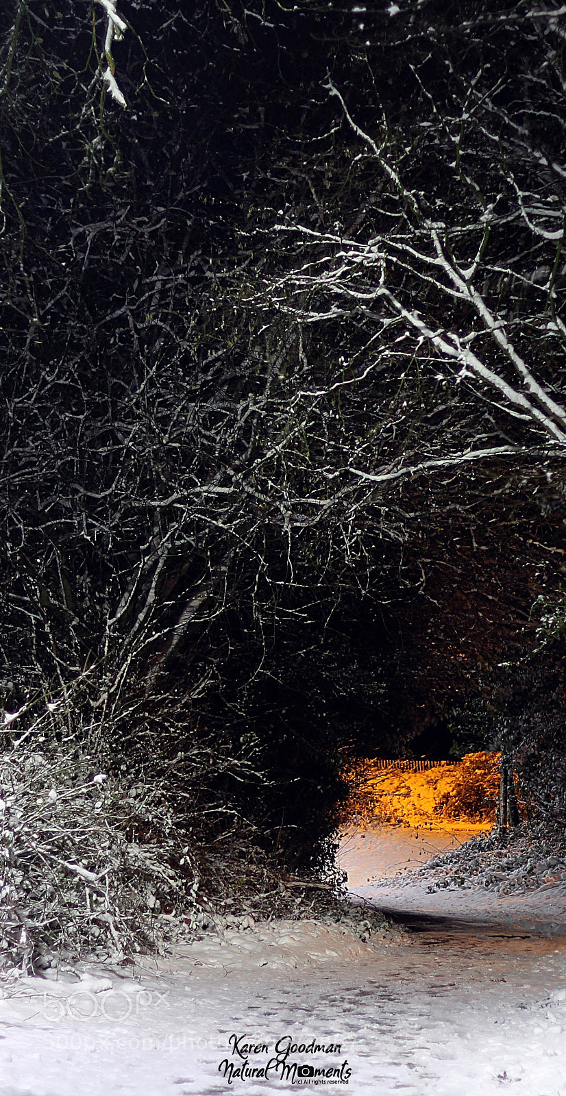 Canon EOS 1300D (EOS Rebel T6 / EOS Kiss X80) sample photo. Snow time! photography