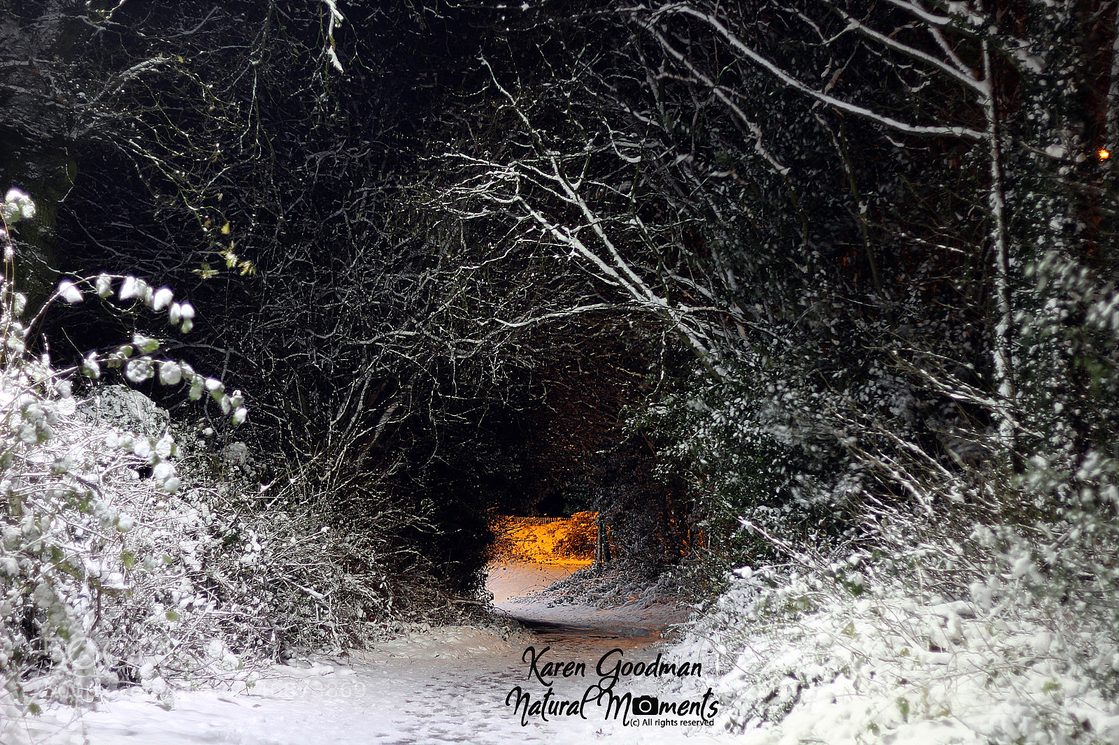 Canon EOS 1300D (EOS Rebel T6 / EOS Kiss X80) sample photo. Snow time! photography