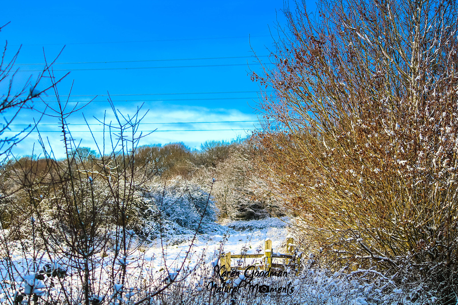 Canon EOS 1300D (EOS Rebel T6 / EOS Kiss X80) sample photo. Snow time! photography