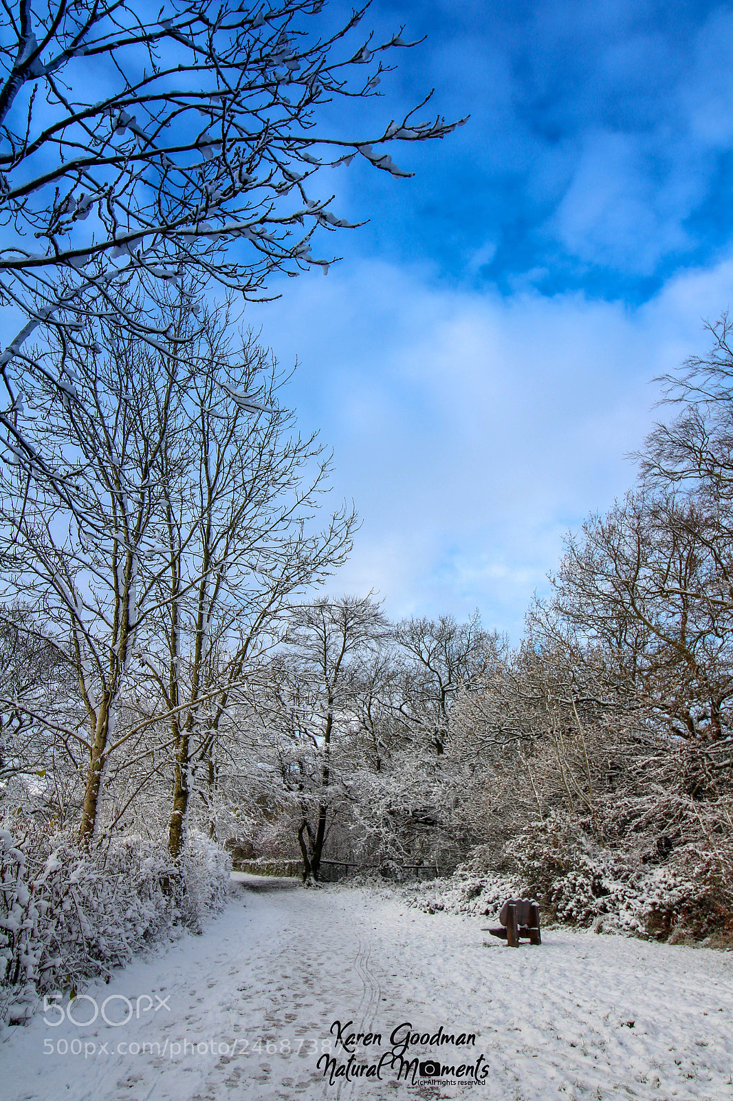 Canon EOS 1300D (EOS Rebel T6 / EOS Kiss X80) sample photo. Snow time! photography