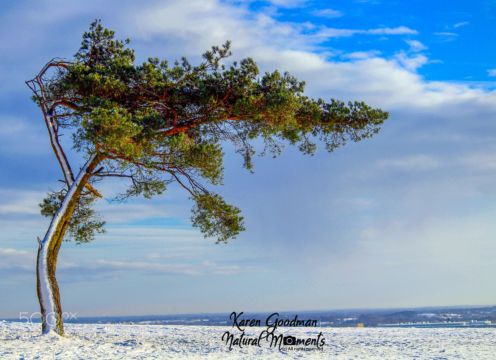Canon EOS 1300D (EOS Rebel T6 / EOS Kiss X80) sample photo. Snow time! photography