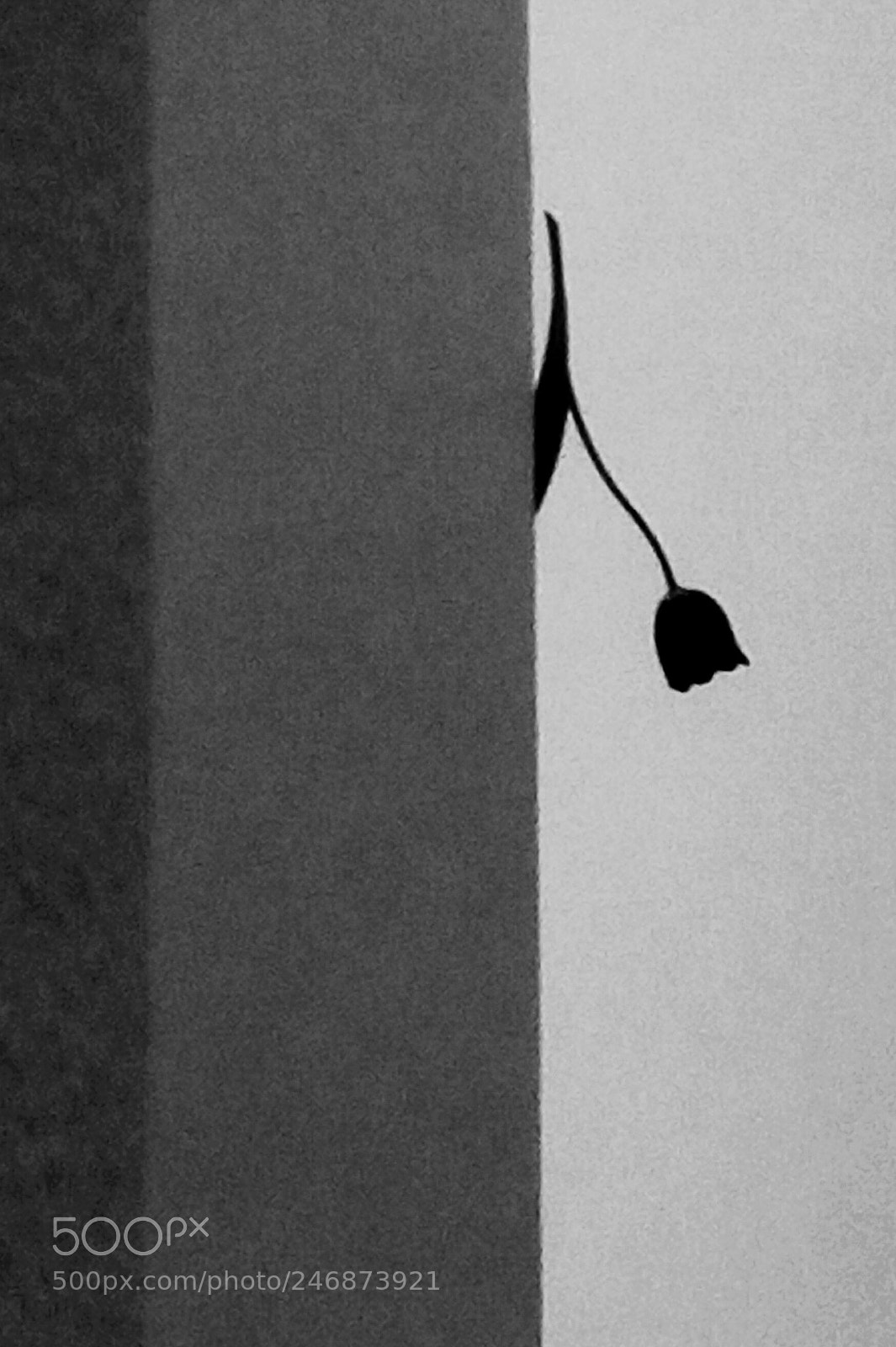 HTC D728X sample photo. Untitled photography