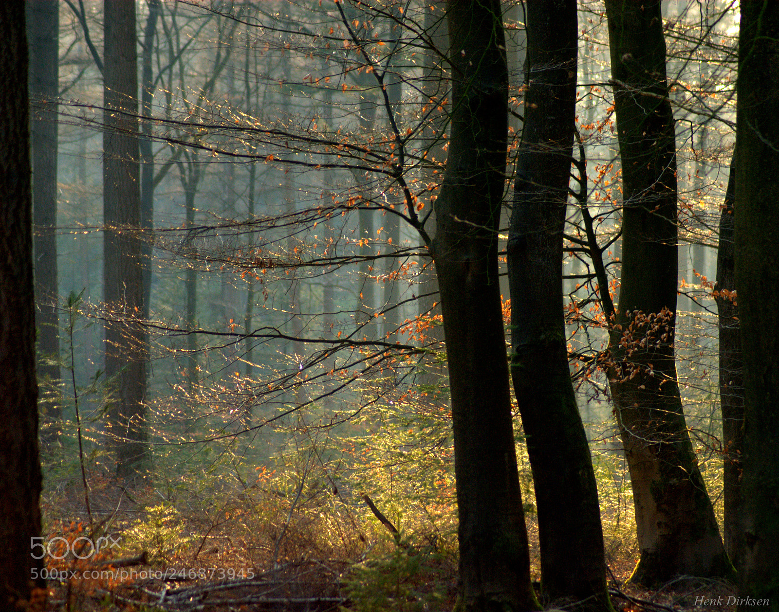 Nikon D200 sample photo. Groeperen photography