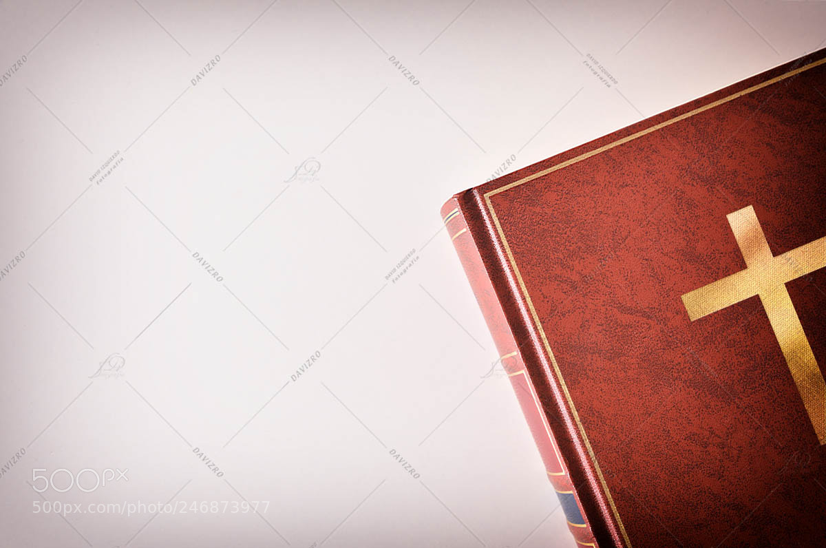 Nikon D810 sample photo. Brown leather cover of photography