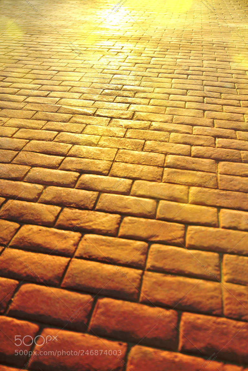 Nikon D810 sample photo. Road background of stone photography