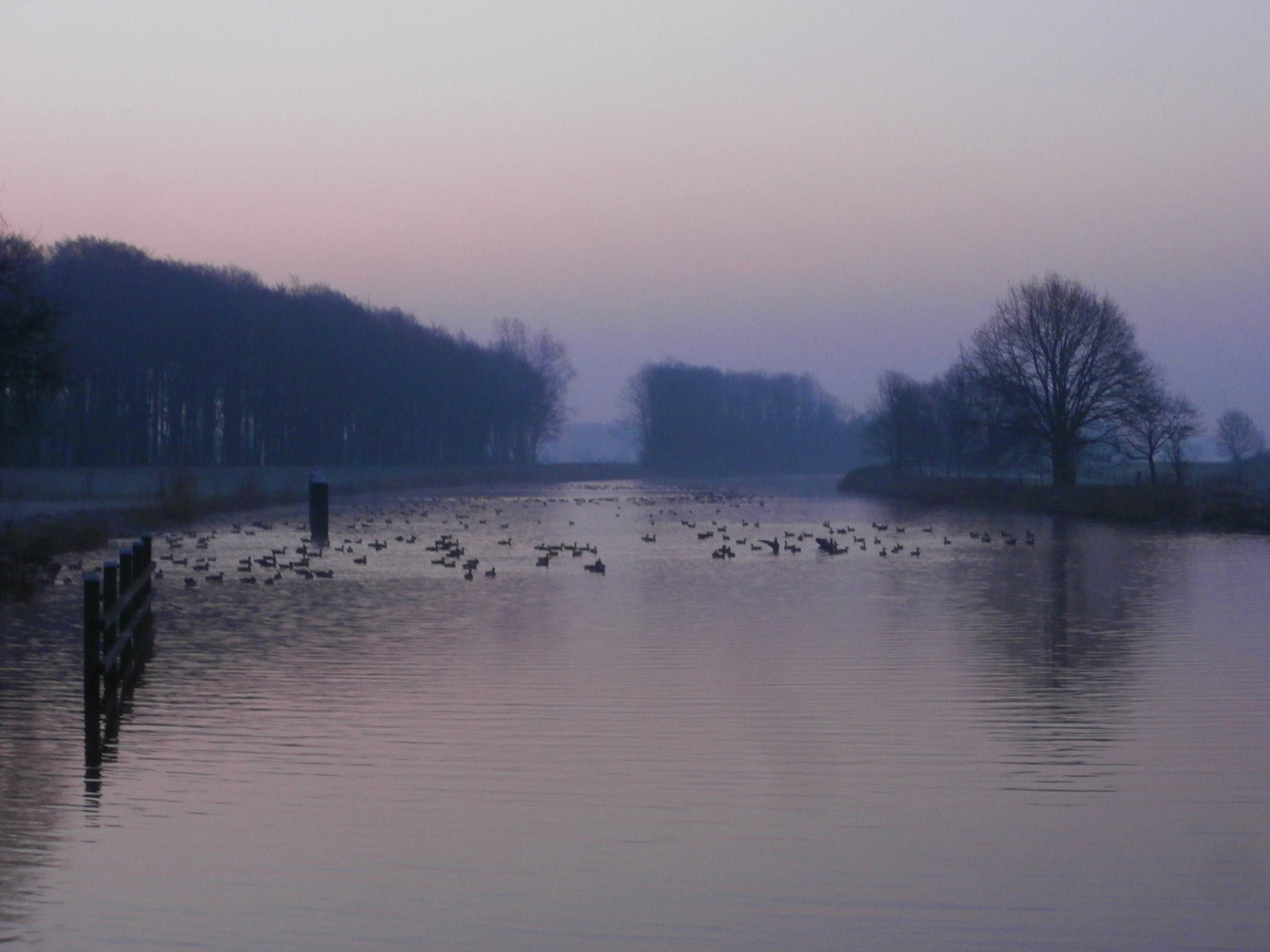 Olympus VR340,D750 sample photo. Soft colours  #oudeijssel photography