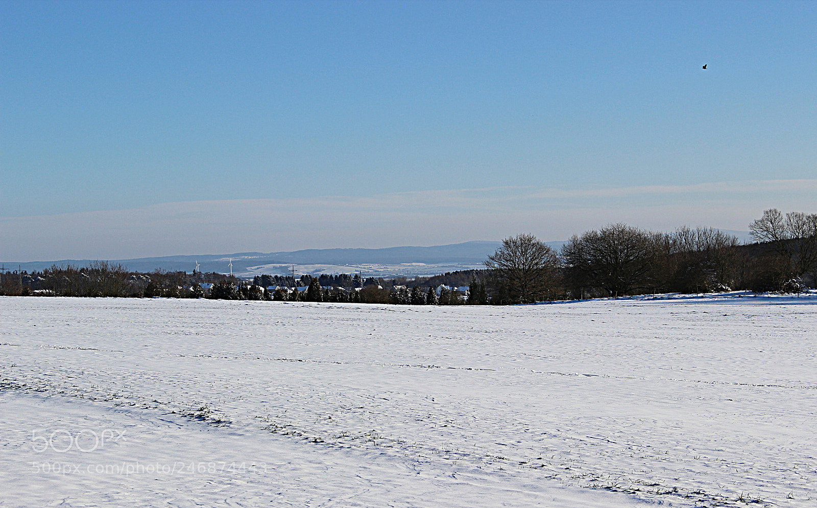Canon EOS 600D (Rebel EOS T3i / EOS Kiss X5) sample photo. Wintertag photography