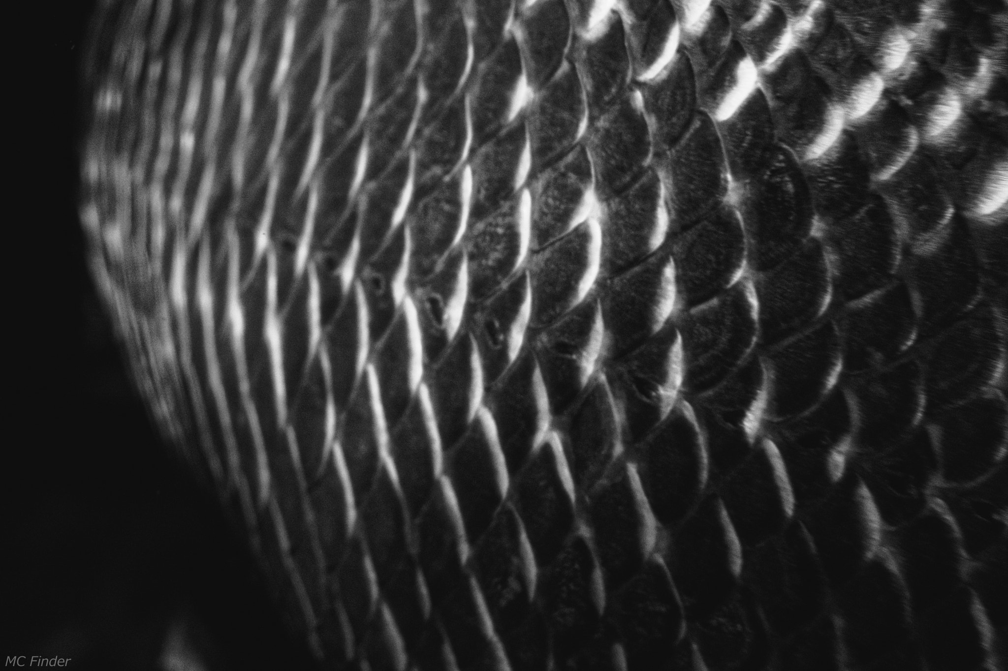 Nikon D750 + Nikon AF Nikkor 50mm F1.8D sample photo. I will leave that to your imagination#99 photography