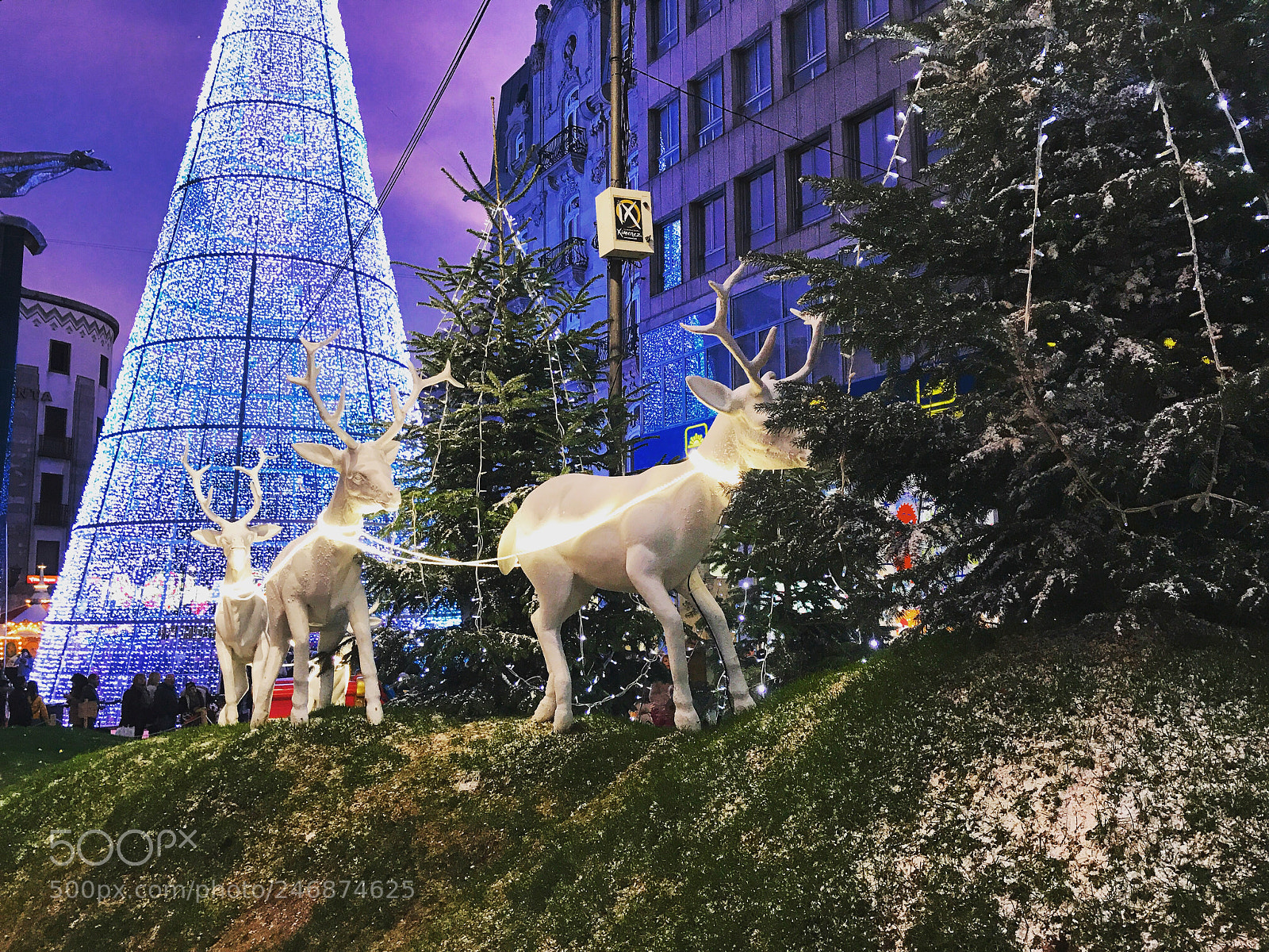 Apple iPhone 7 Plus sample photo. Love christmas time photography