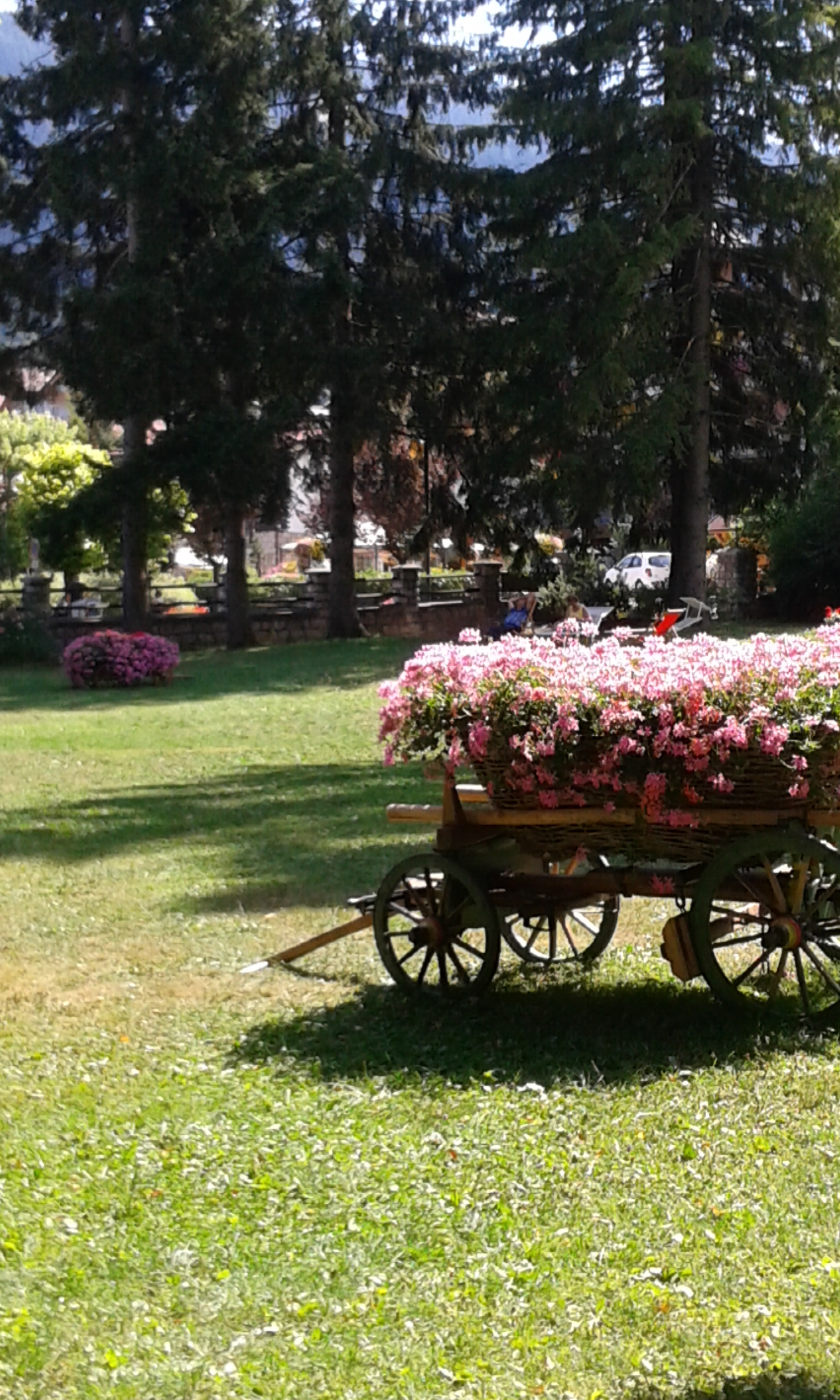 Samsung Galaxy Grand Neo sample photo