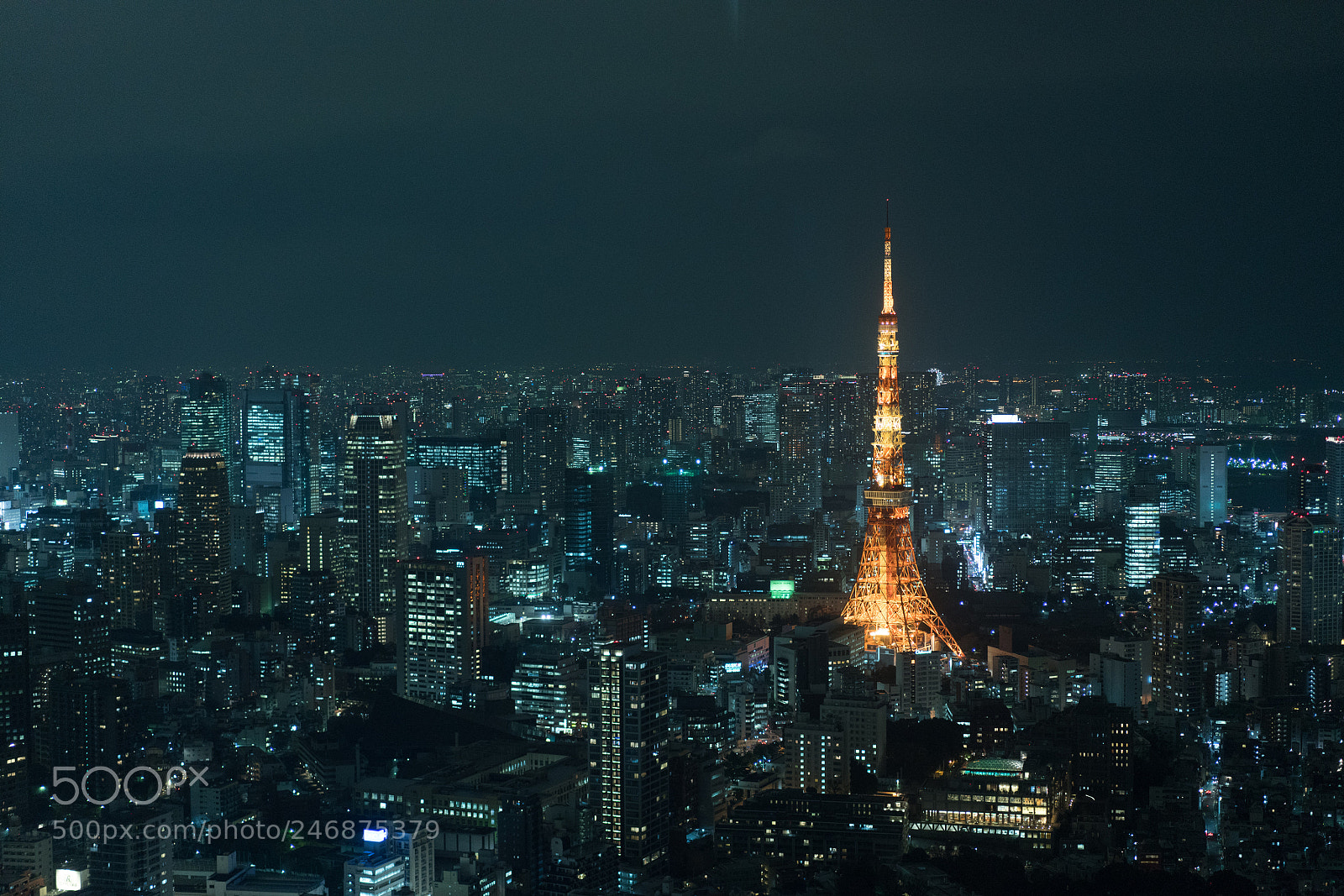 Sony a7R III sample photo. Tokyo tower photography